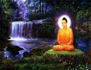 The man who spat in the face of the Buddha: a philosophical parable