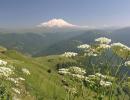 Five of the most famous volcanoes on earth Central type volcanoes