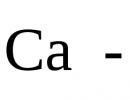 What are the types of connections between words in a phrase?