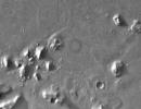 10 hullu Marsiga seotud vandenõuteooriat (11 fotot)