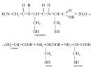 Amino acids are part of natural polypeptides and proteins.