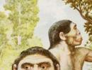 The closest relatives of australopithecines among modern primates